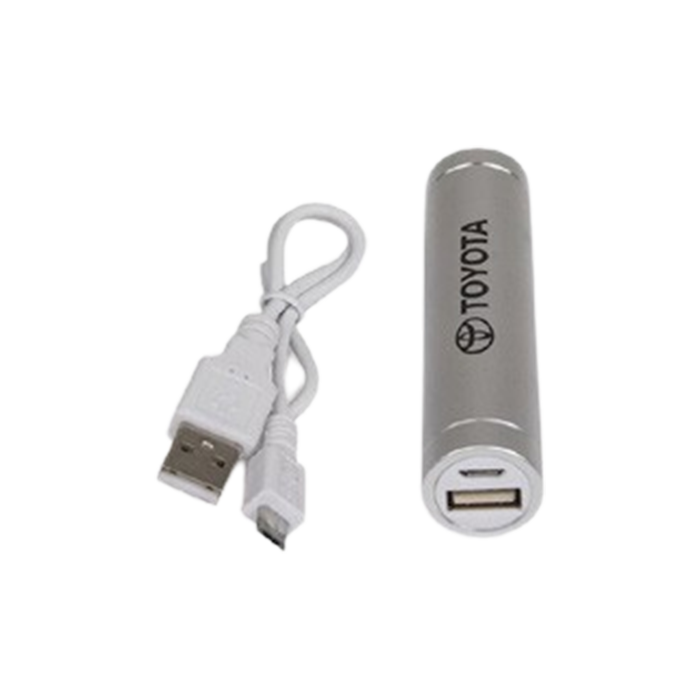 POWER BANKS